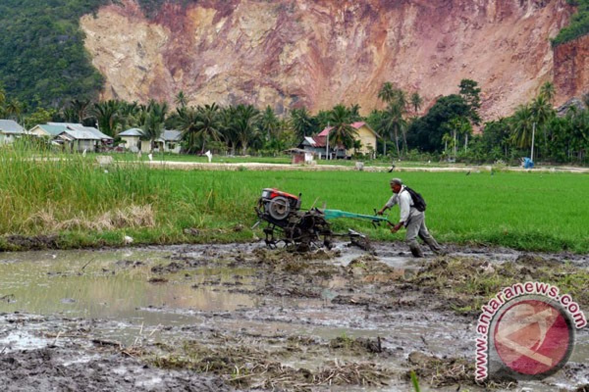 Indonesia punya peta konservasi gambut pada 2016