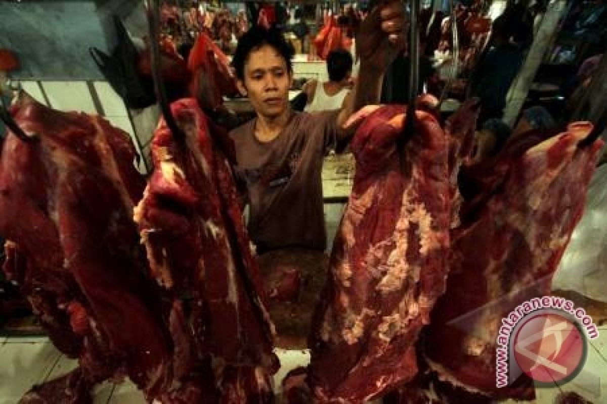 Harga Daging Sapi di Pangkalpinang Rp135.000/Kg