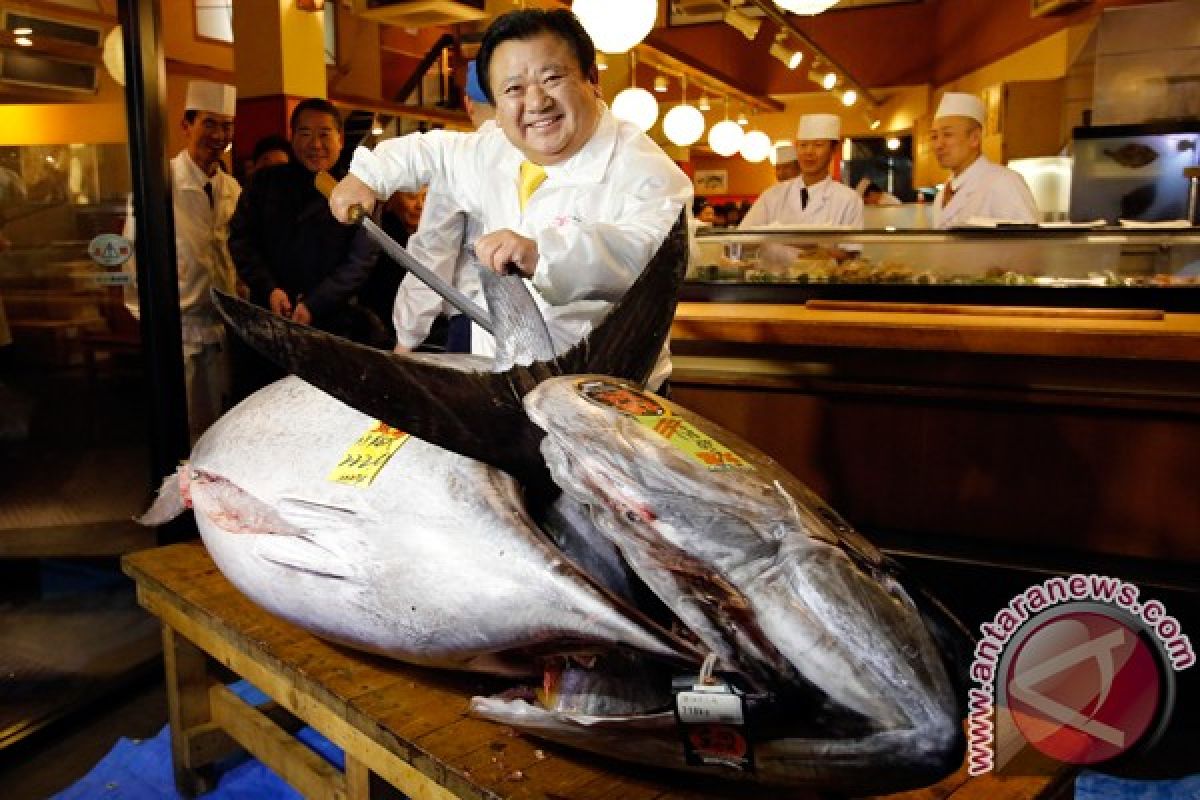 Tuna laku dilelang Rp17 miliar di Jepang