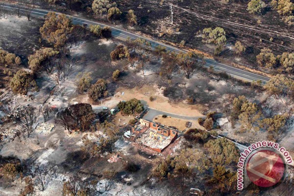 Kebakaran semak terus berlangsung di Tasmania