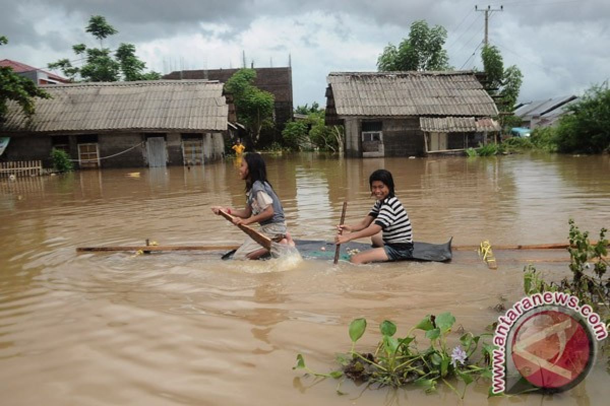 1.050 hektare lahan pertanian di Jambi terendam 