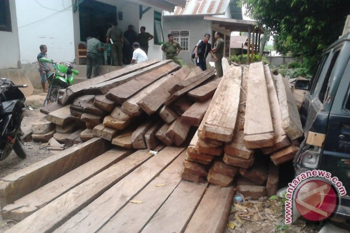 Kolaka Lelang Kayu Hasil Tangkapan 113 Kubik