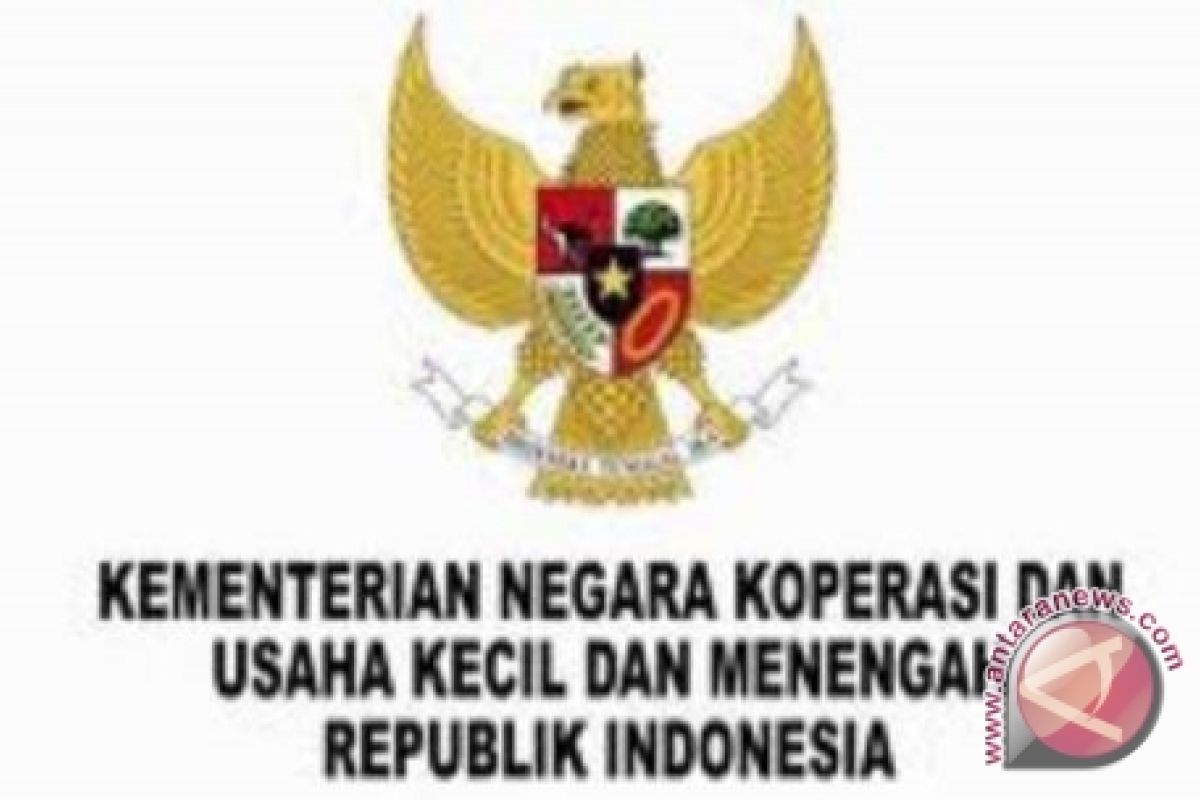 Menkop Rancang Skema Subsidi untuk UMKM