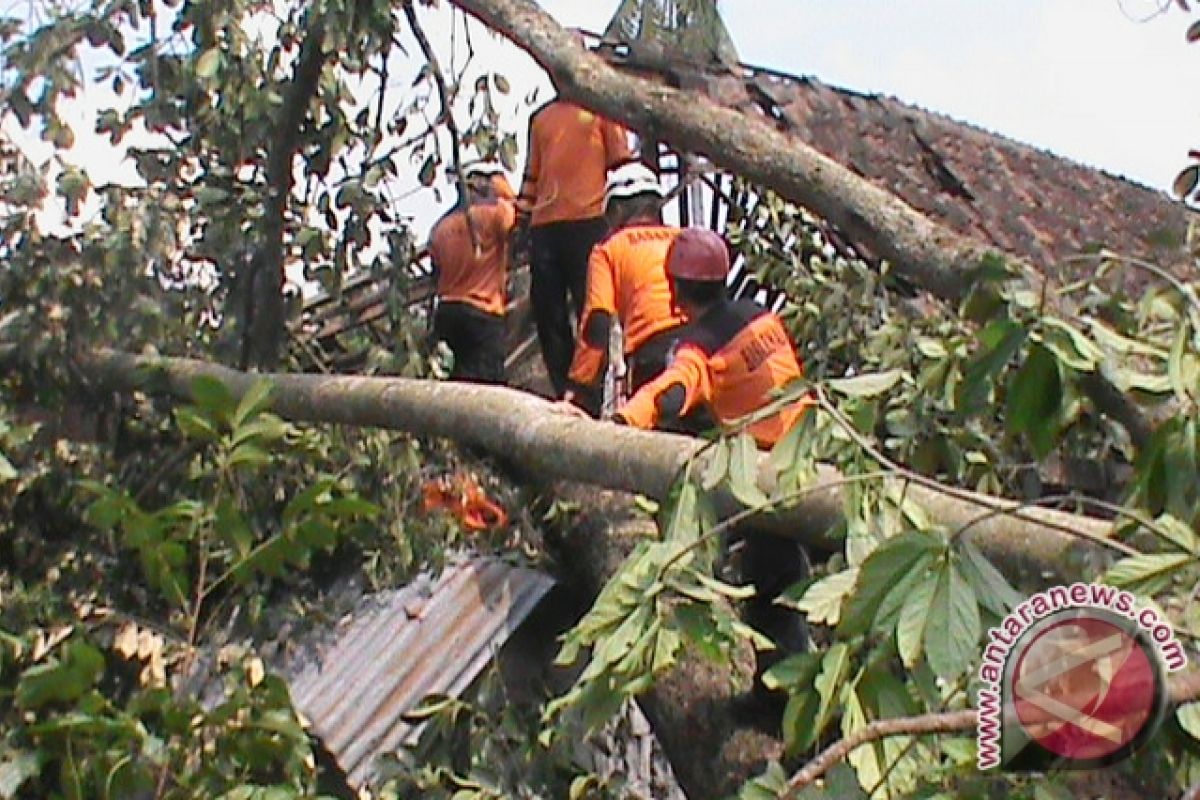 Puluhan rumah warga rusak diterjang angin kencang