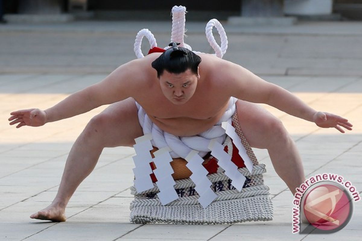 Sumo champion Yokozuna Hakuho promotes batik in Japan ANTARA News