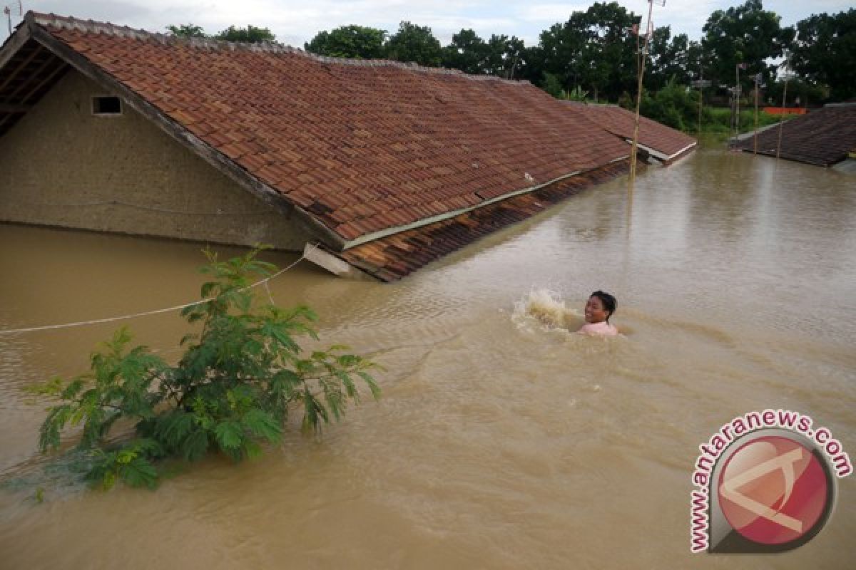 1.349 hektare lahan padi di Serang terancam puso