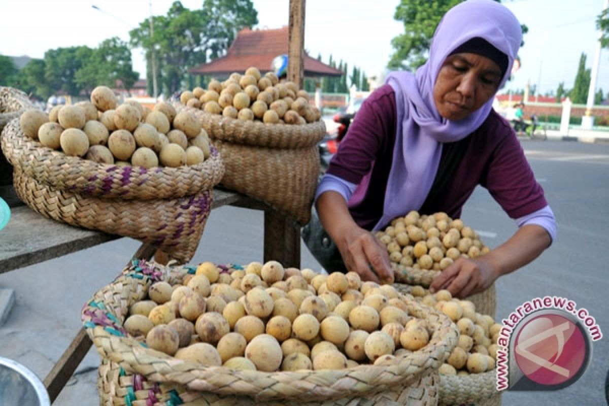 Kemristekdikti Kaji Buah-buahan Lokal Nusantara 