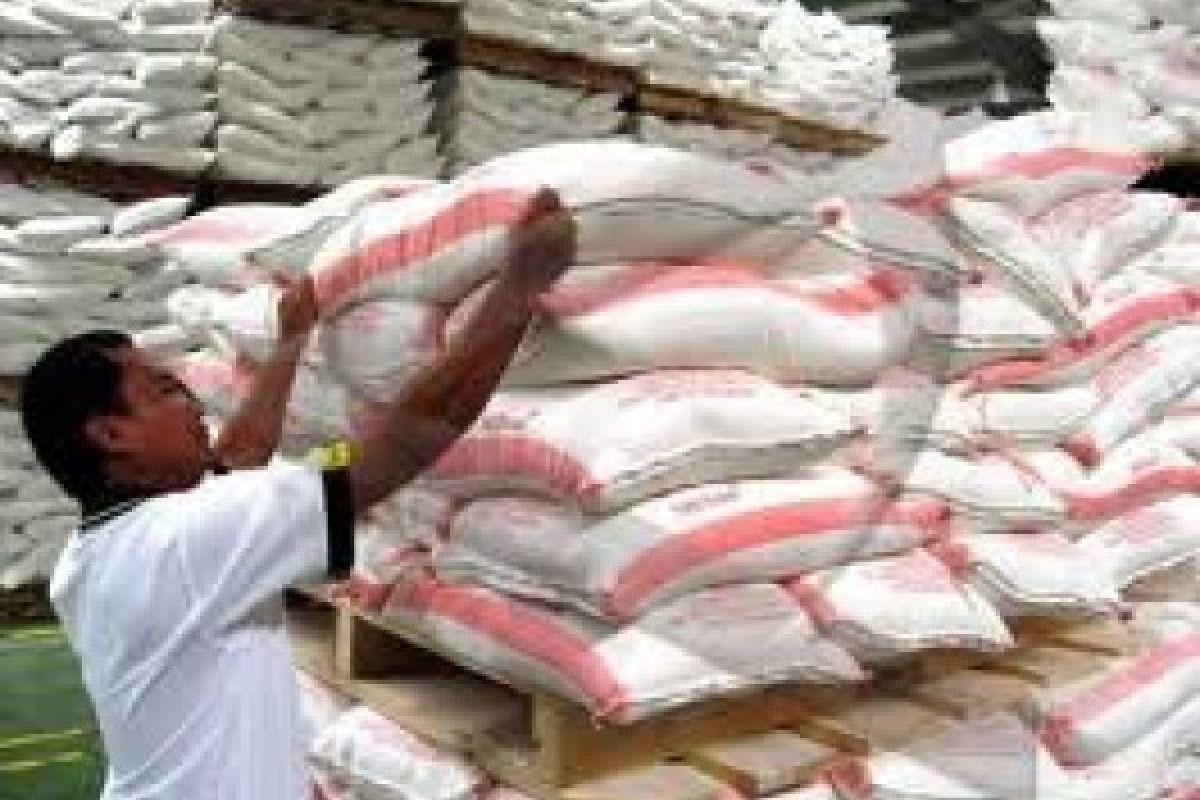 Flour Price in Padang Began To Rise