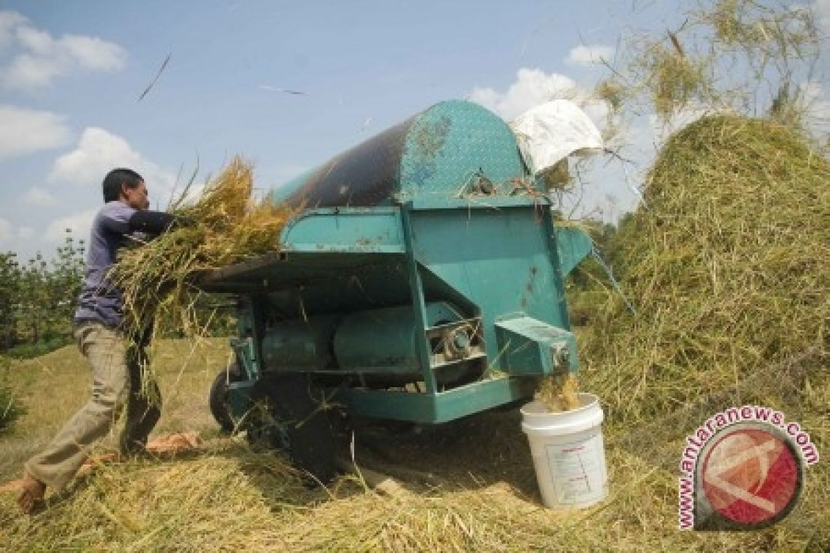 Banyuasin menuju swasembada beras 