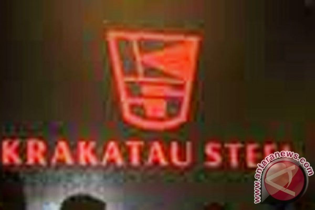 Krakatau Steel applies restructuring program to save steel business