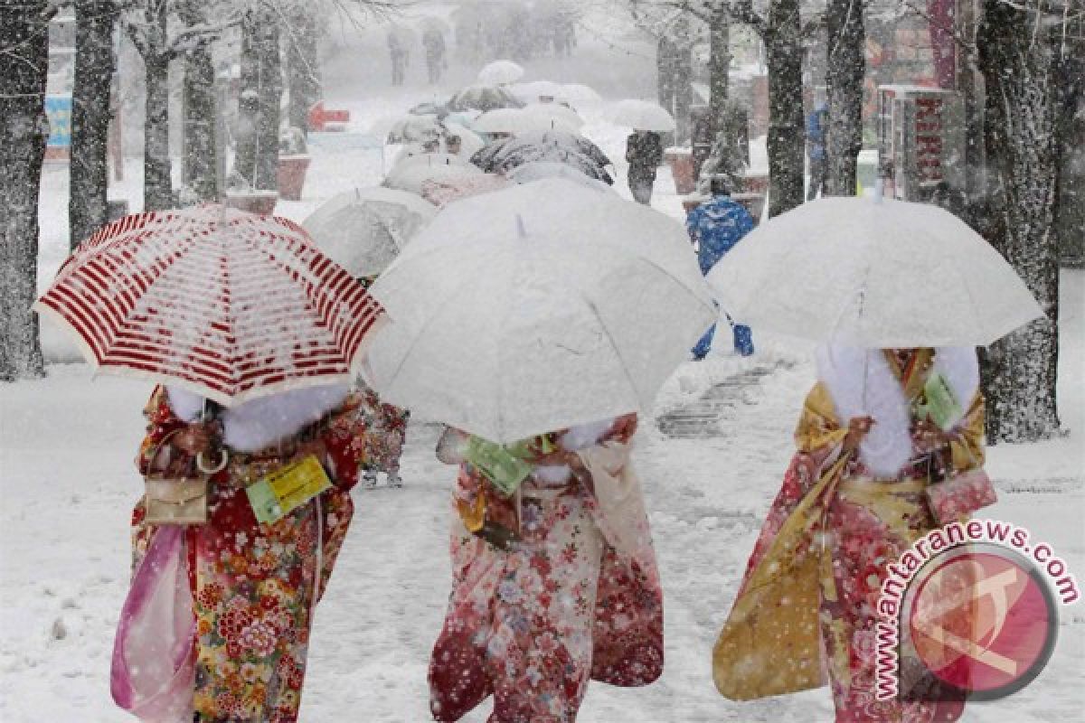 Produsen mainan Jepang sasar konsumen dewasa