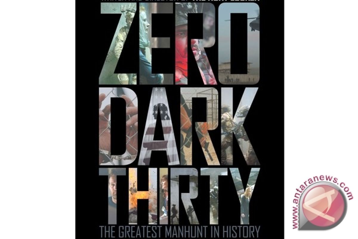 Film Zero Dark Thirty Pimpin Box Office