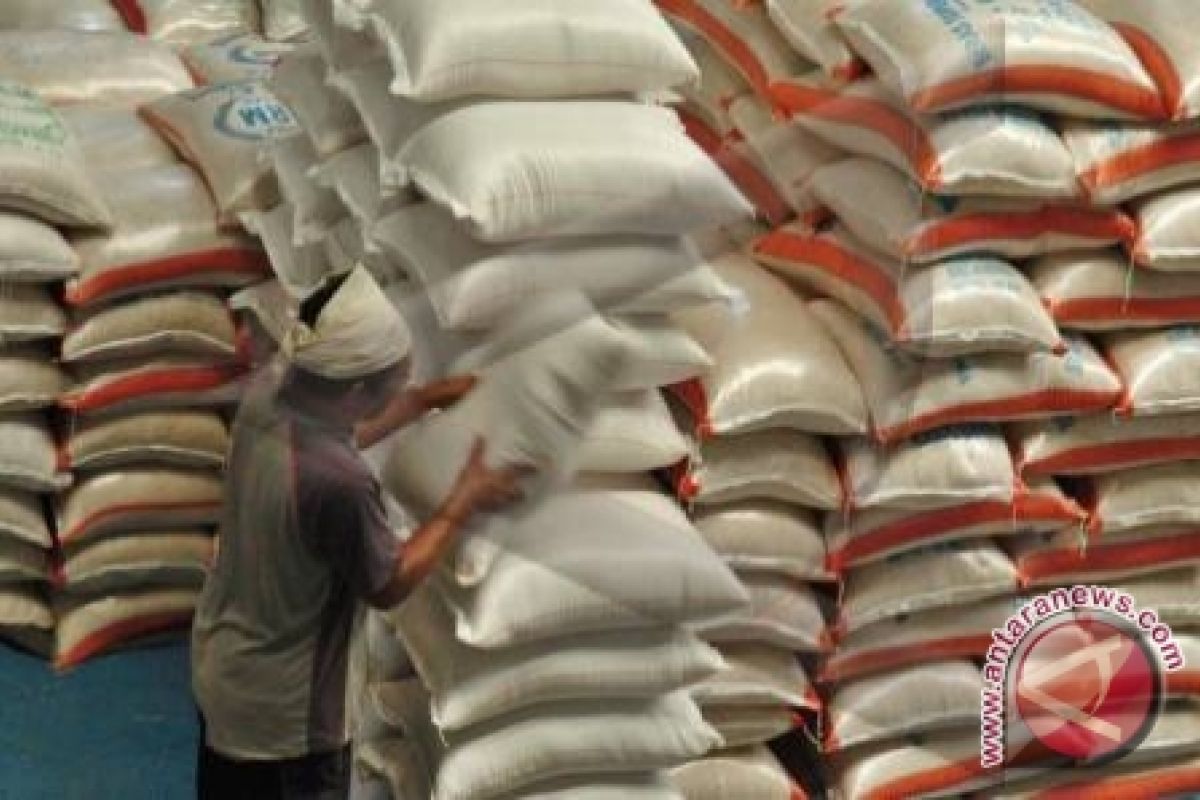 Gorontalo Utara Target Produksi Beras 10 Ton/hektare 