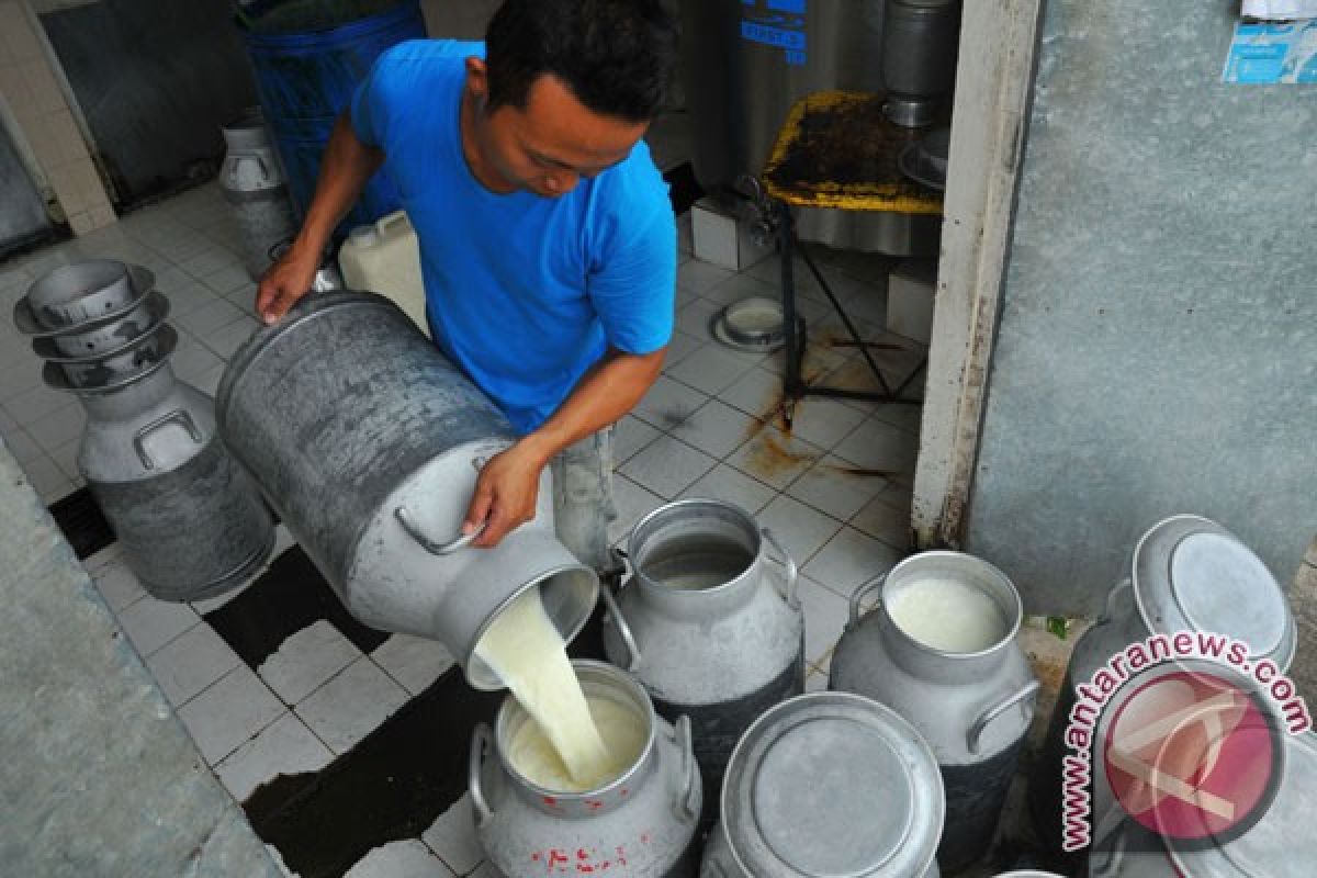 Produksi susu tahun ini ditargetkan 1,24 juta ton