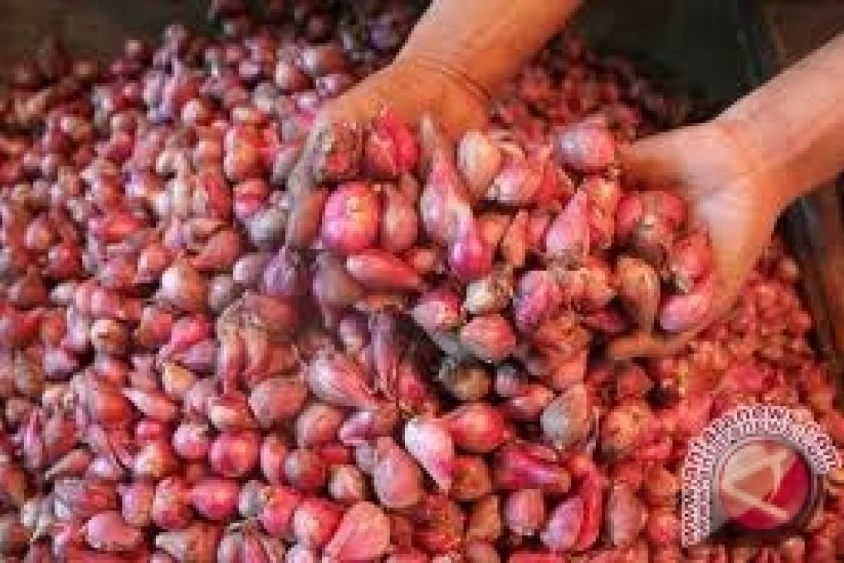 Harga Bawang Merah di Penajam Turun 