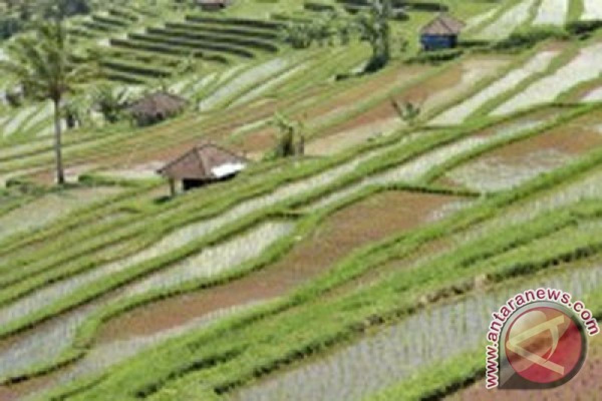 Mahasiswa UTN Singapura kunjungi Subak Pulagan