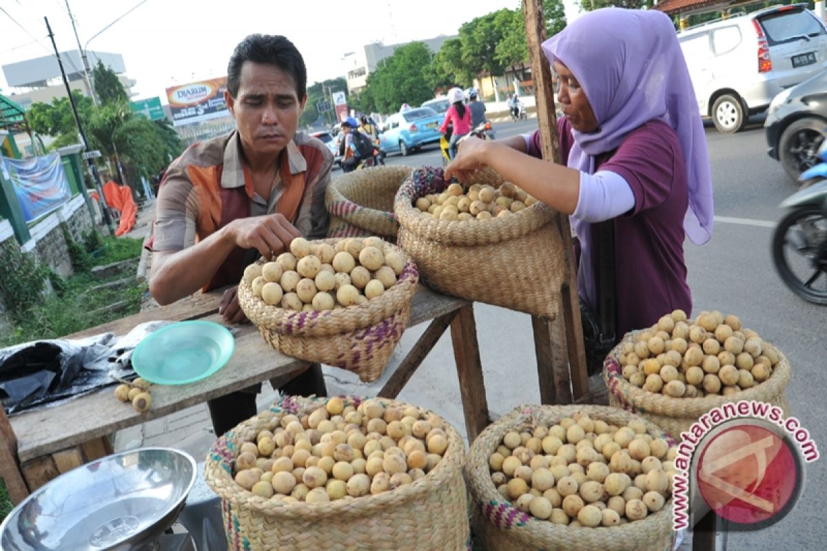 Pedagang duku mulai bermunculan di Palembang 