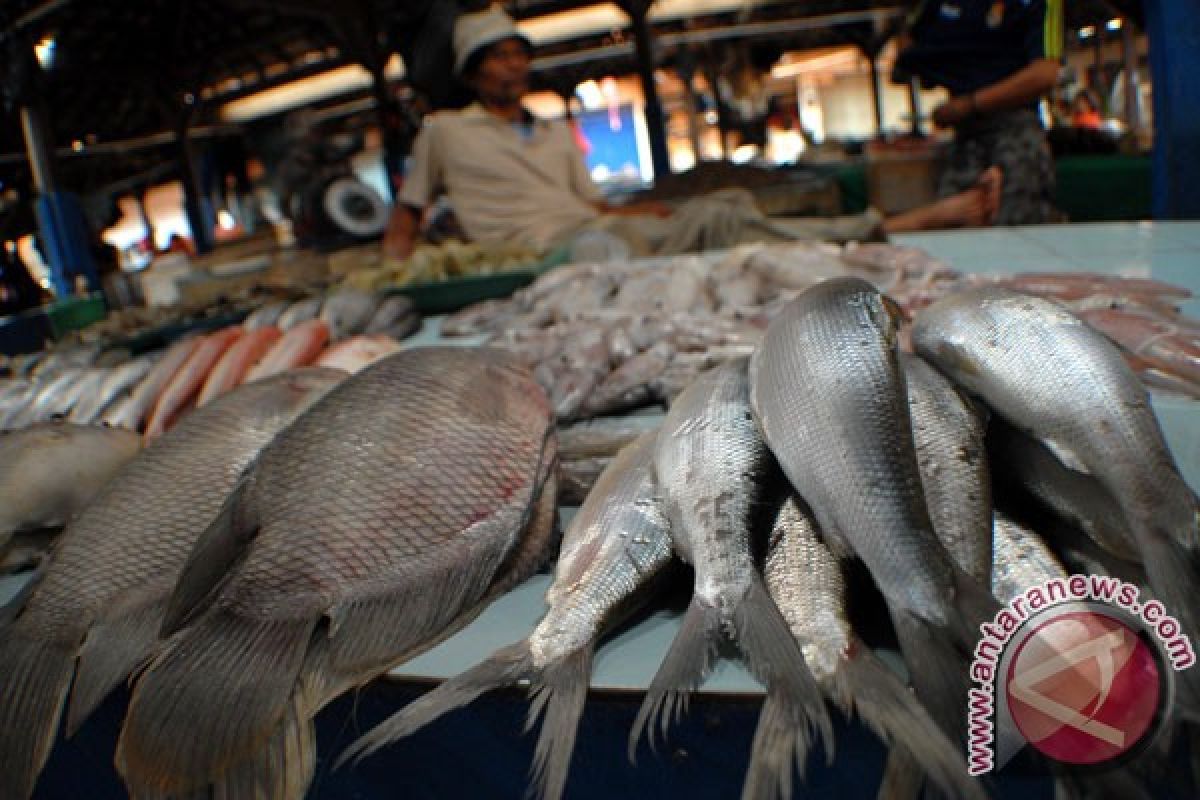 Inovasi produk gerobak ikan higienis dari KKP