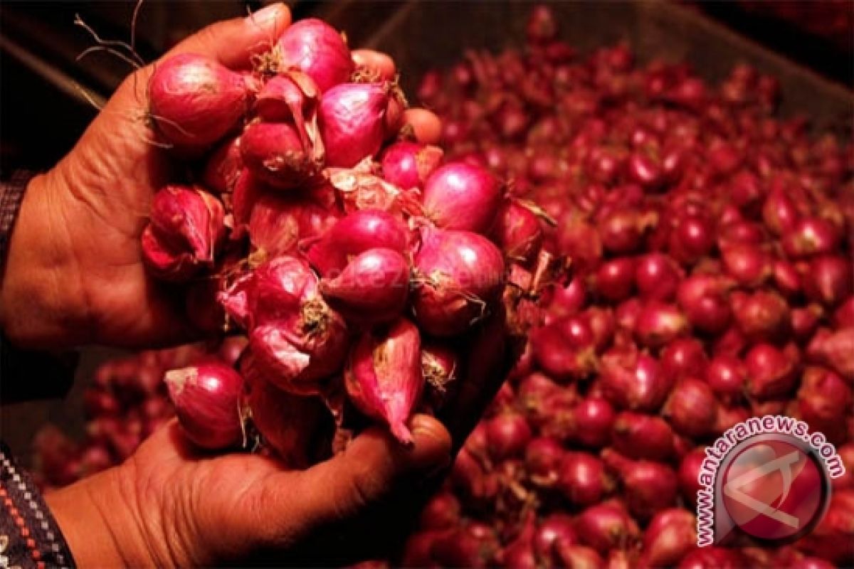 Harga Bawang Dan Sayuran Di Buntok Melonjak 