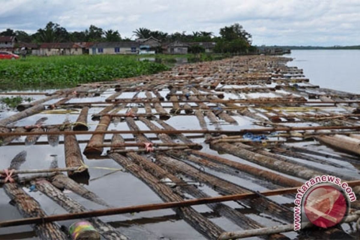 Produksi Kayu Bulat Barito Utara 66.080 Batang 