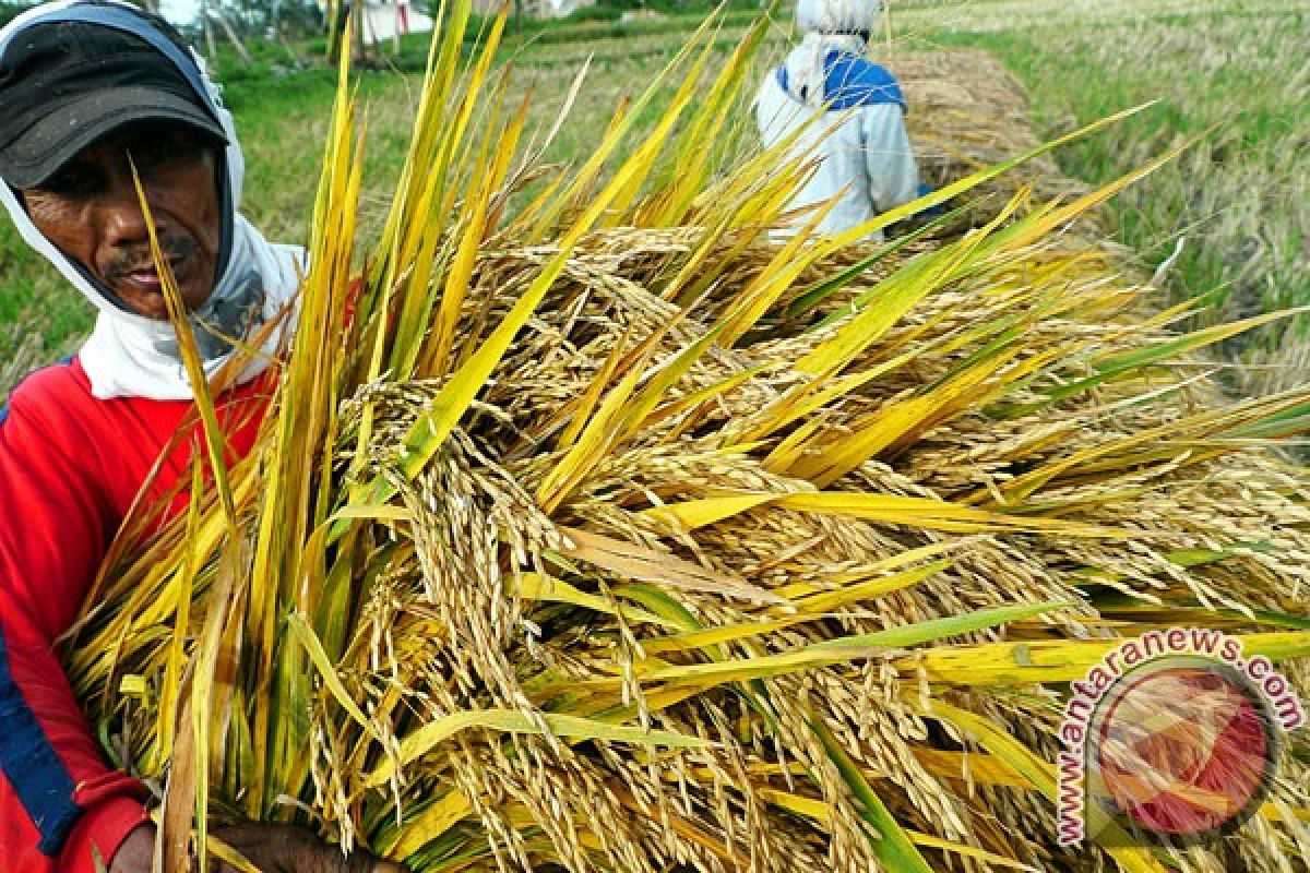 Distan Bali bantu enam mesin pemanen padi