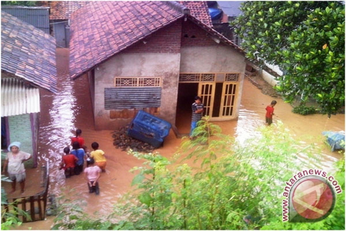 Walhi Lampung: Banjir Waylunik Akibat Galian Tanah