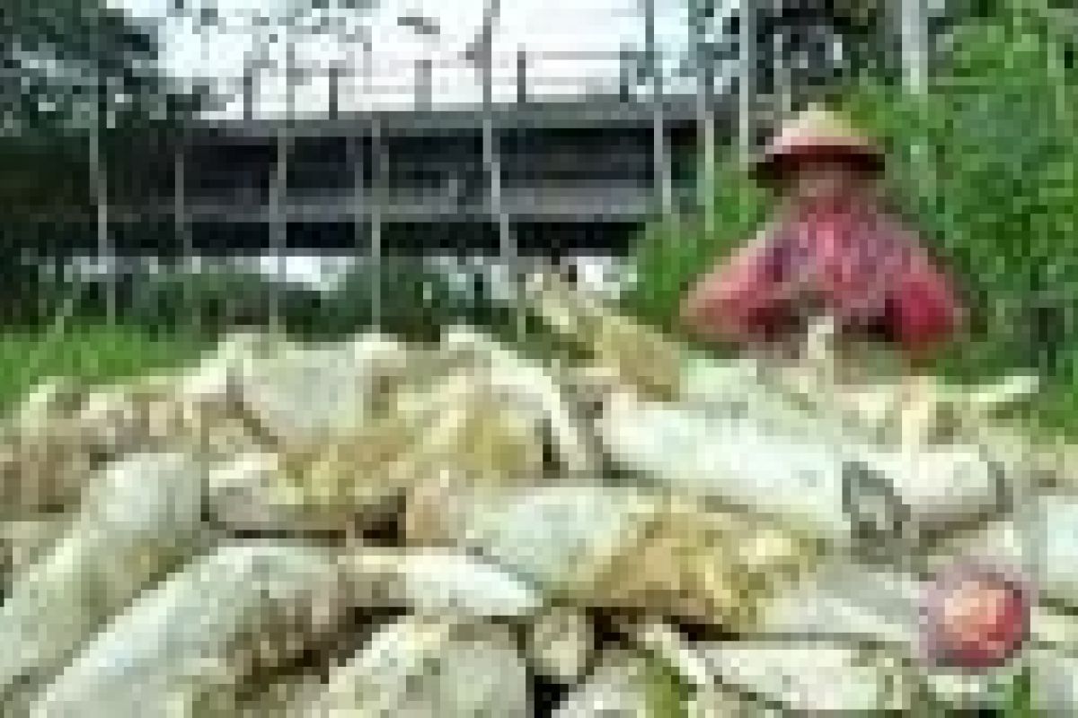 Lebaran 2017 - Penjualan makanan khas Yogyakarta naik 30 persen 
