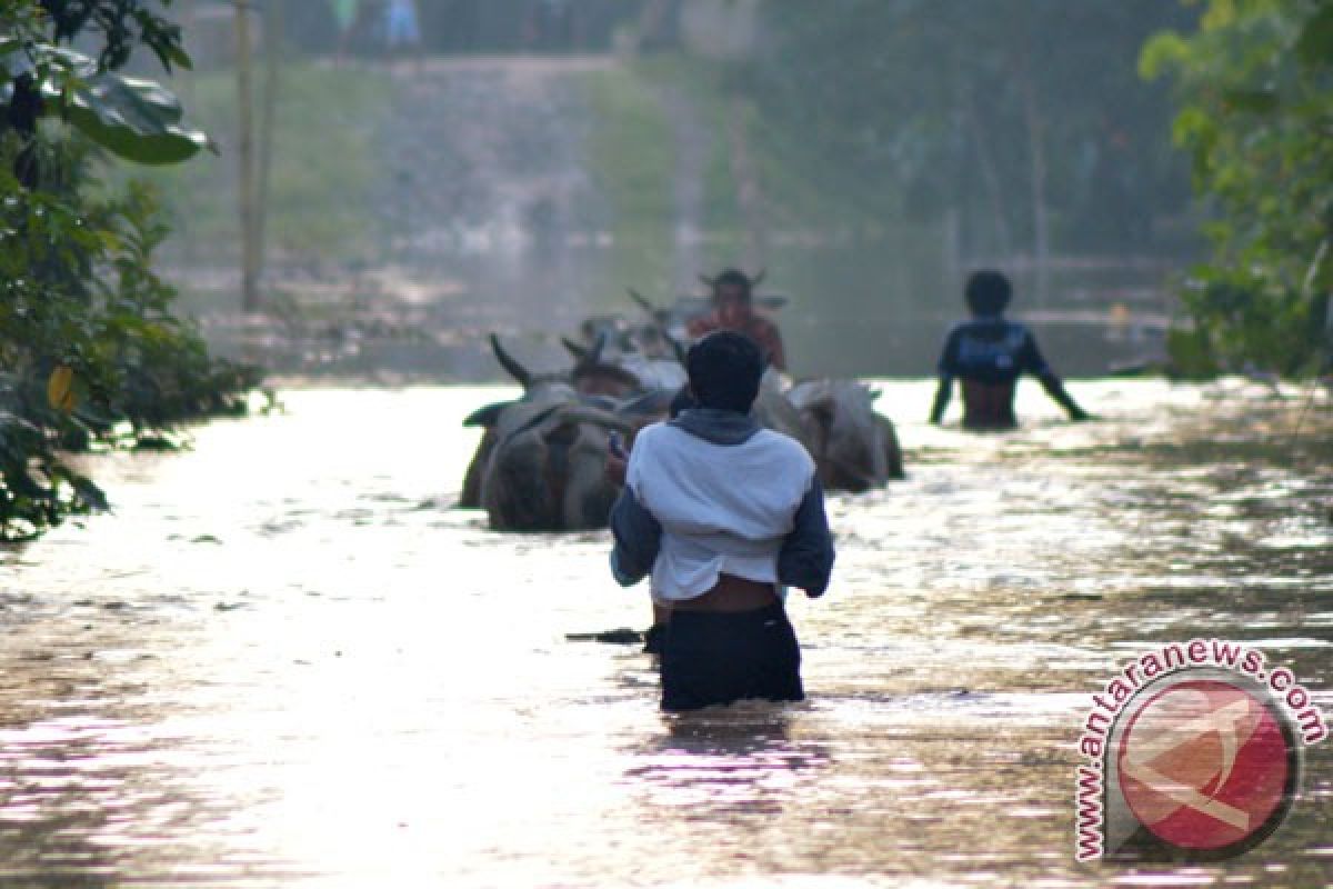 Banjir tambah 44 lubang jalan di Bekasi 