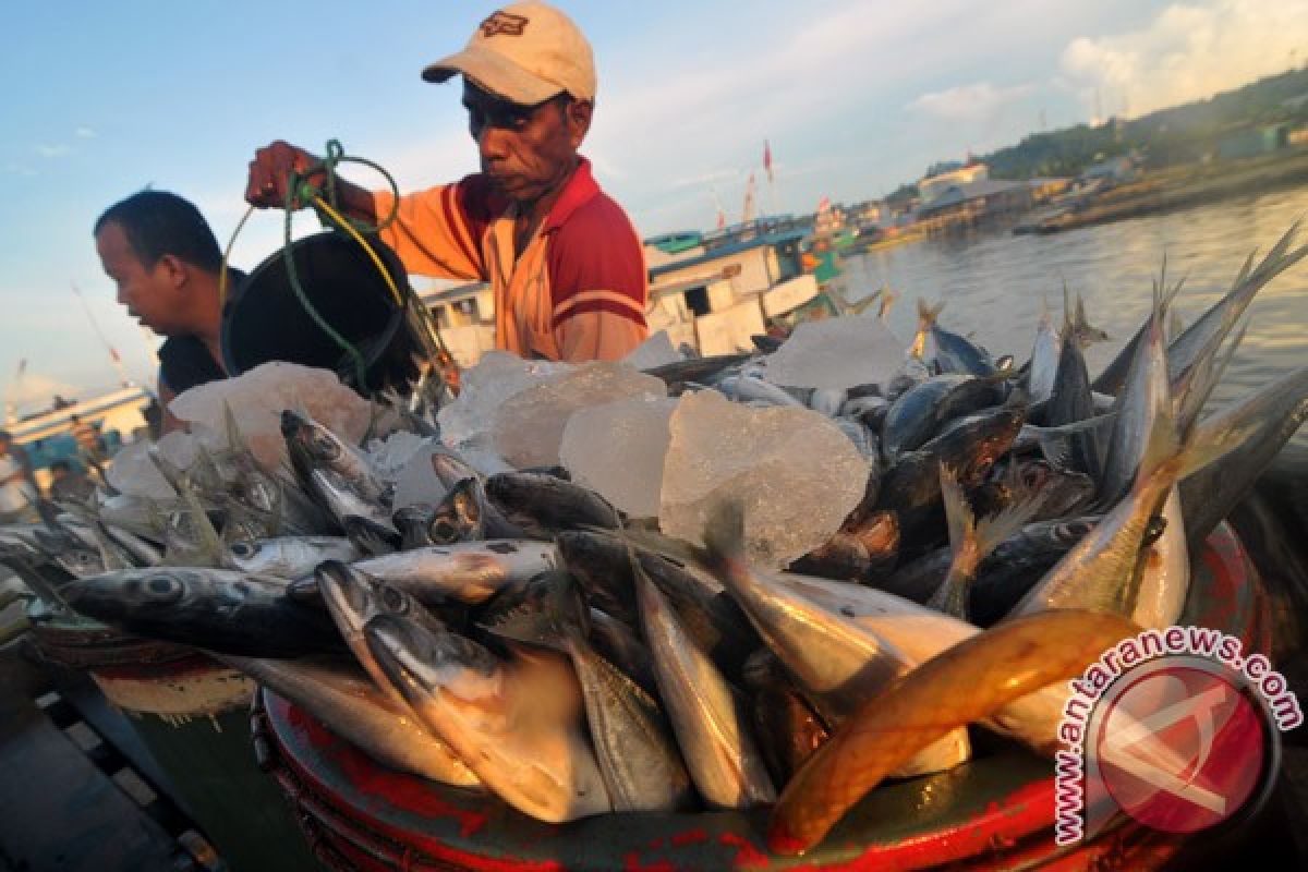 Basarnas temukan ABK nelayan hilang di Sorong Selatan dalam kondisi meninggal