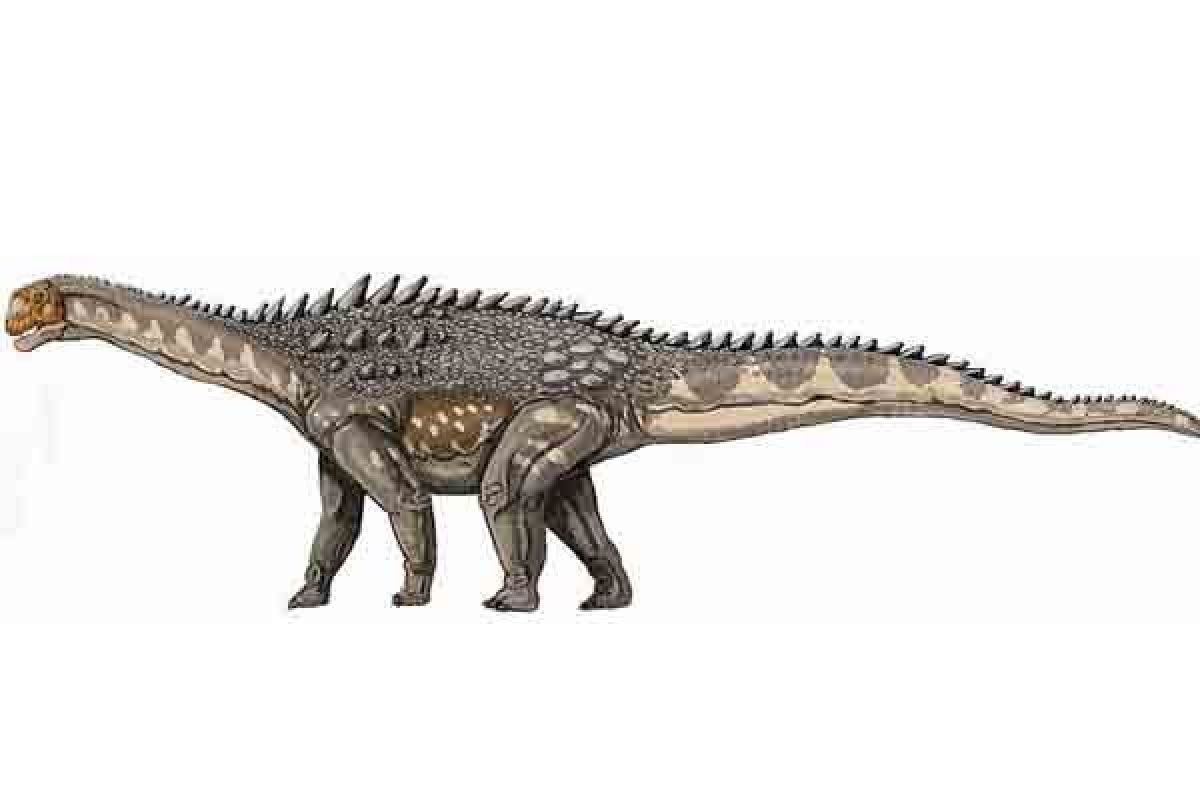 Kelompok dinosaurus terbesar ternyata berotak kecil