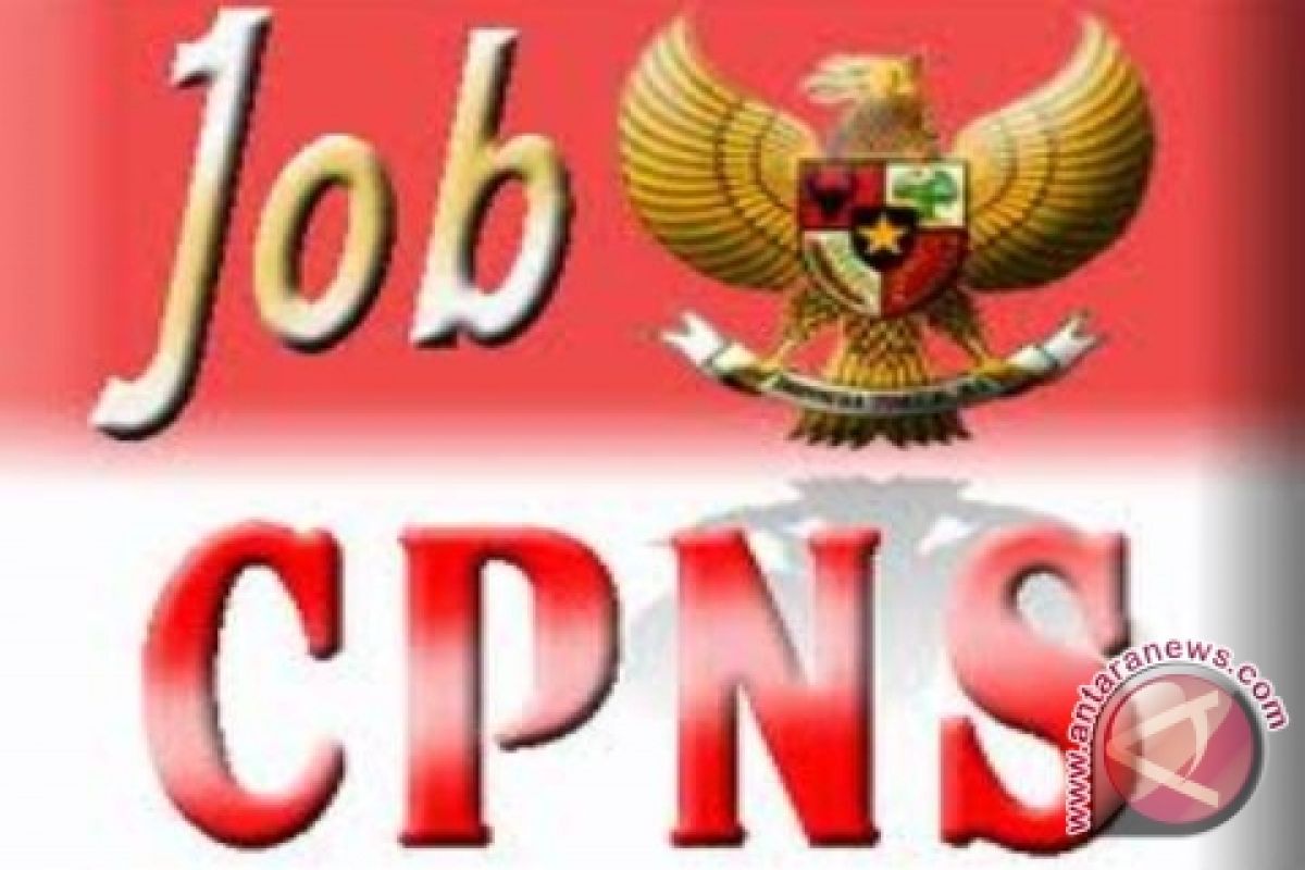 Pemerintah Buka 17.928 Lowongan CPNS