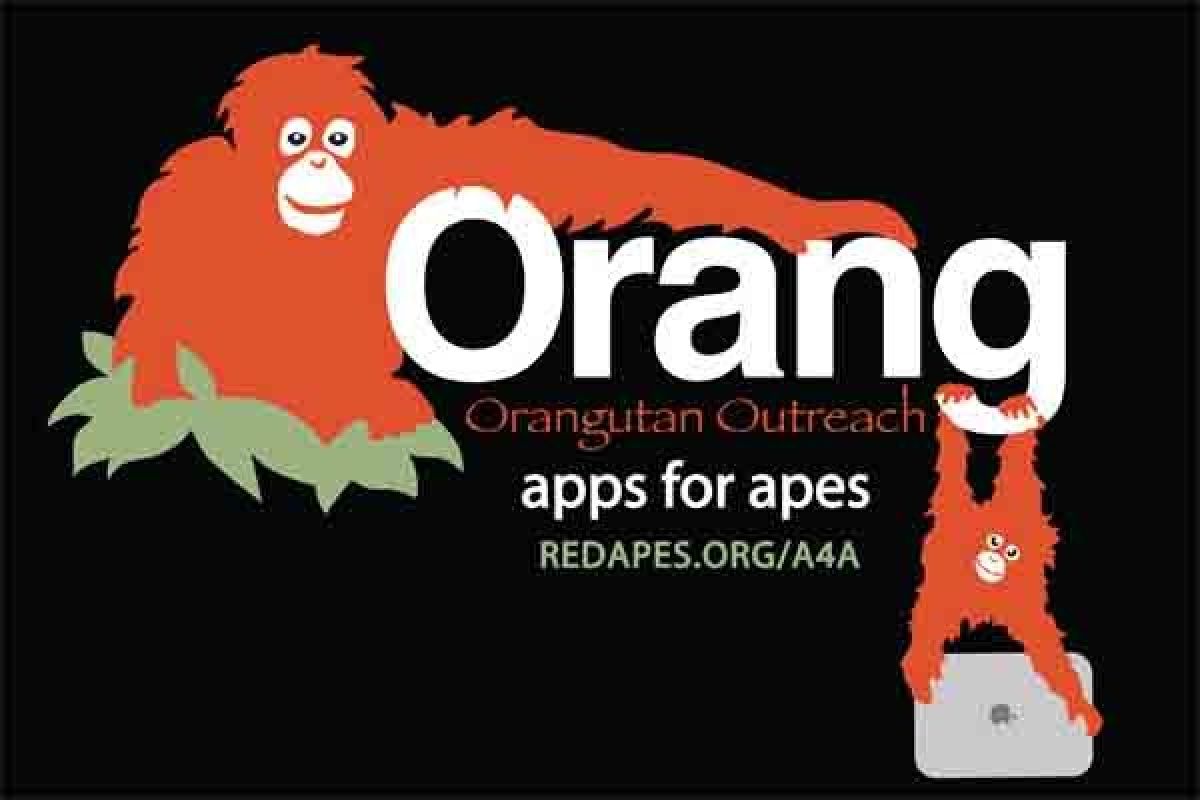 iPad temani orangutan di Washington saat musim dingin 