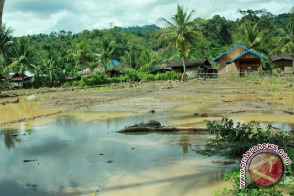 Banjir surut petani minta benih unggul