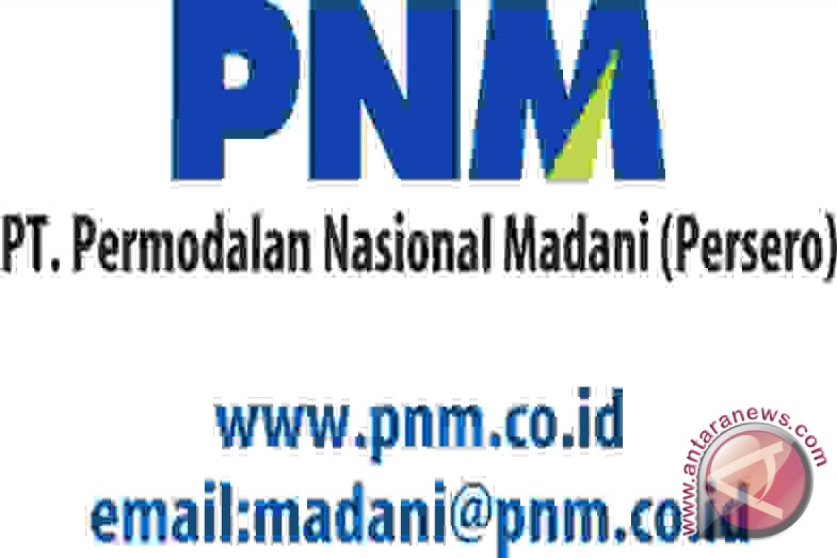 Nasabah UMKM Permodalan Nasional Madani meningkat 