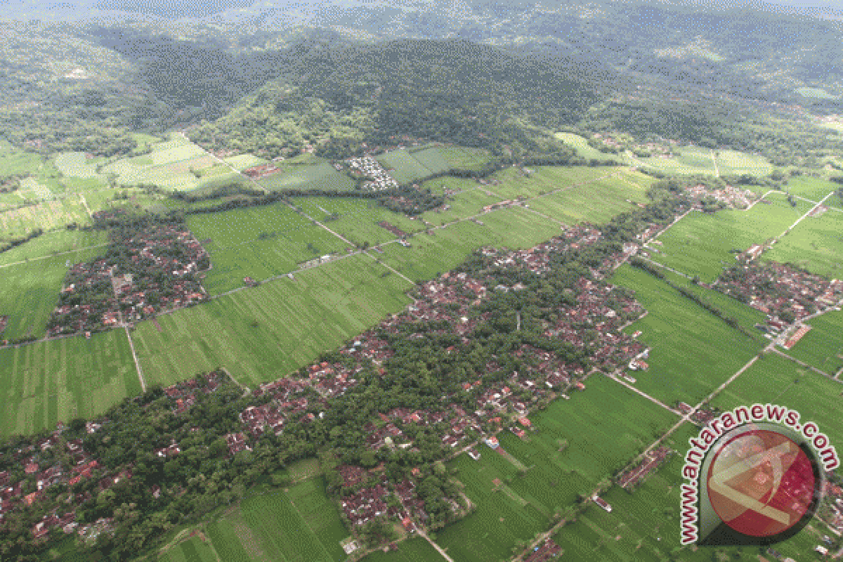 Lahan pertanian Purwakarta berkurang 75 hektare/tahun