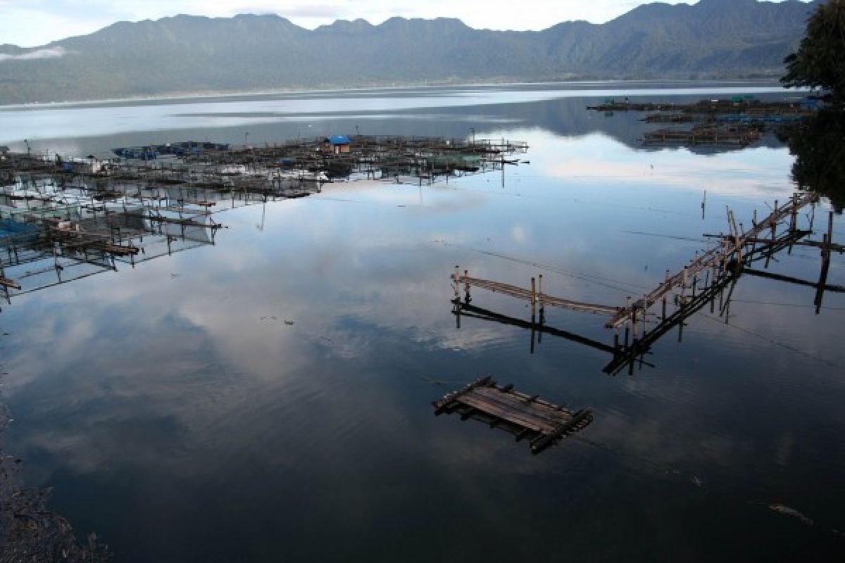 Produksi ikan air tawar Agam turun