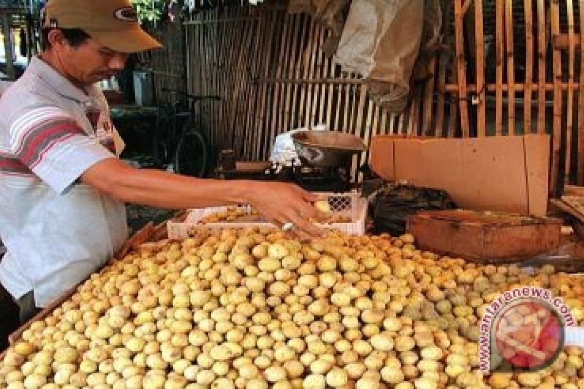 Kebun Buah Punggur akan Difokuskan Jadi Agrowisata 