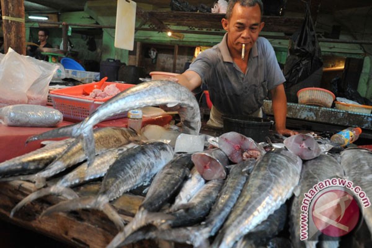 Harga ikan tenggiri di Bandarlampung naik jelang Imlek