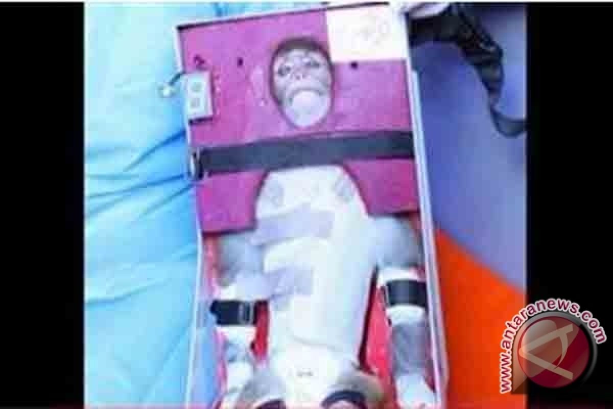 Iran mengorbitkan monyet ke antariksa