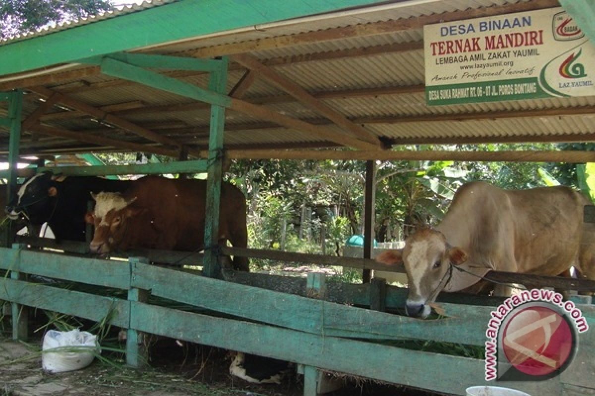 938 Mitra Binaan PT Badak Serap Dana Bergulir Rp2,8 Miliar