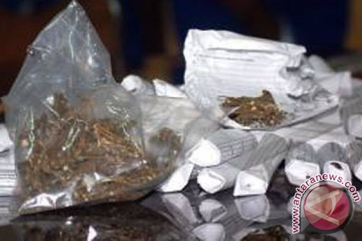 Polres sita 1 kg ganja dari lima pengedar