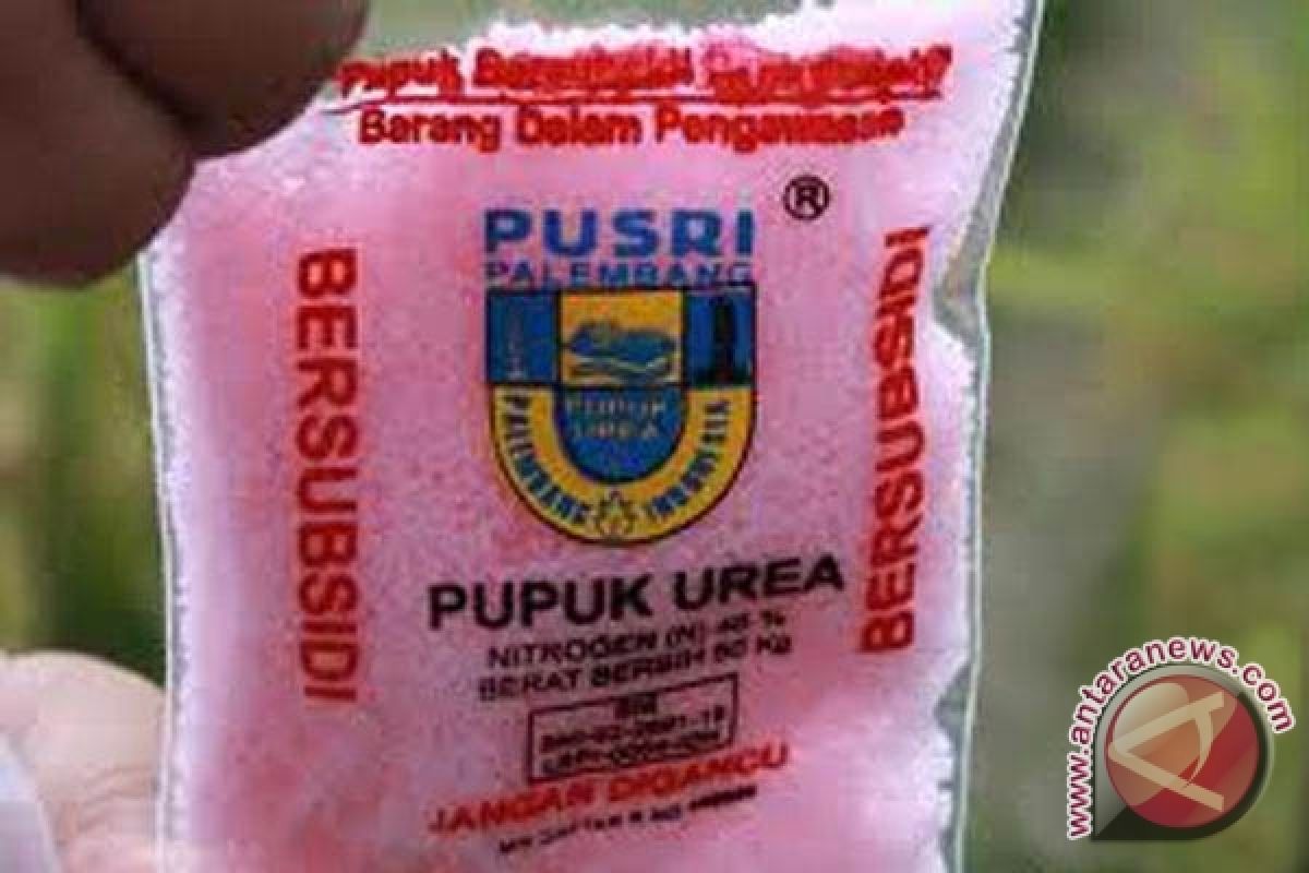 Distribusi Pupuk Bersubsidi Barito Utara Melebihi Kouta 