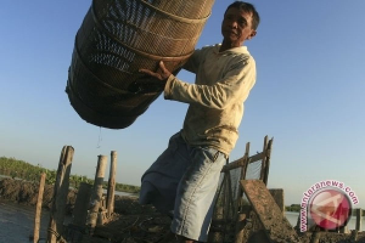 Petambak Bandeng Gagal Panen