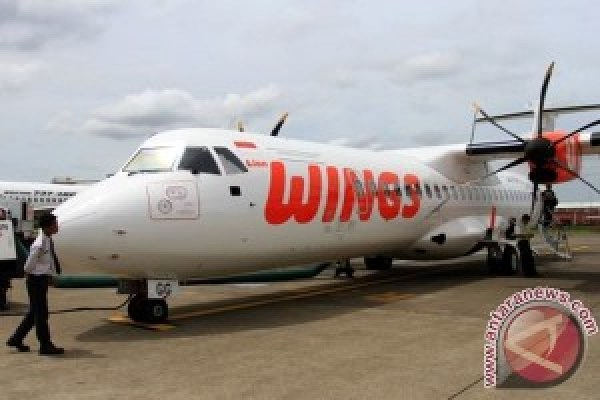 Three Flights Fail to Land at Semarang's Airport