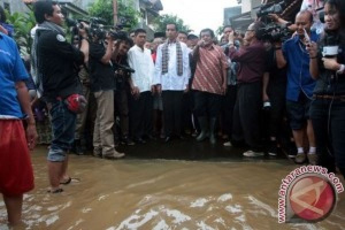Pakar Pertanyakan Peran Ahok Tangani Banjir