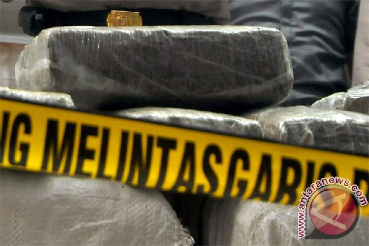 Polisi ringkus penumpang bus bawa 11 bal ganja