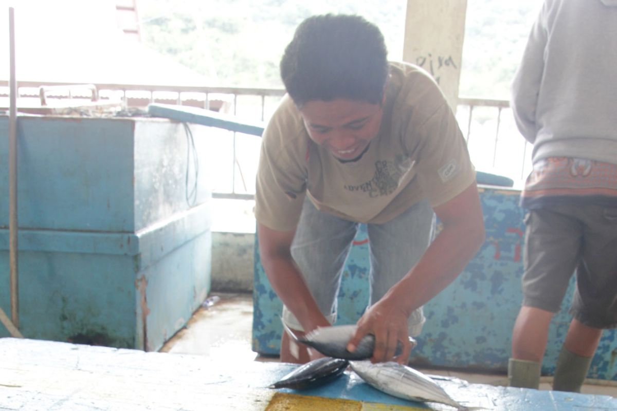 Sulut Pasok Kebutuhan Ikan Gorontalo