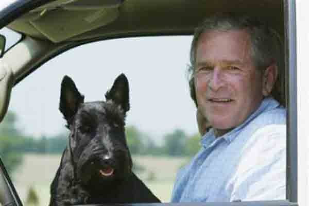 George Bush berkabung untuk anjing kesayangan