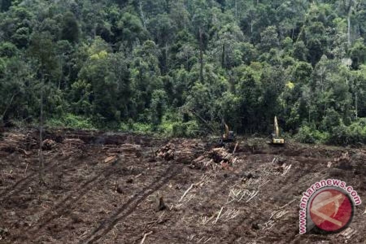 Gubernur Minta BRG Maksimalkan Perbaikan Lahan Gambut