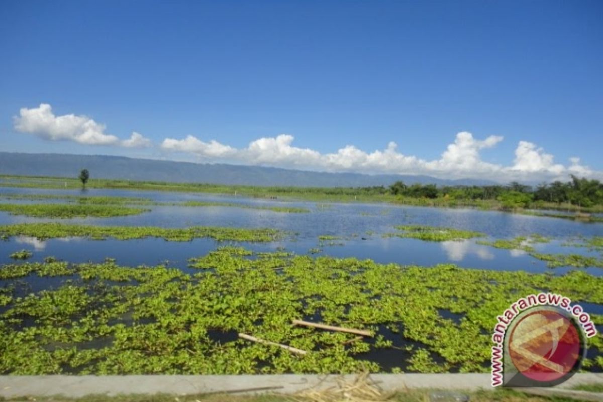 Peneliti Dukung Pembangunan Tanggul Di Danau Limboto 